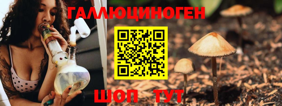 Галлюциногенные грибы Cubensis Слободской